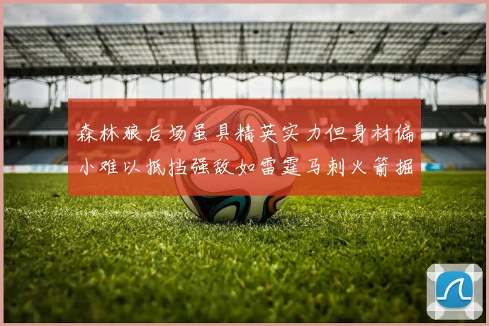 森林狼后场虽具精英实力但身材偏小难以抵挡强敌如雷霆马刺火箭掘金