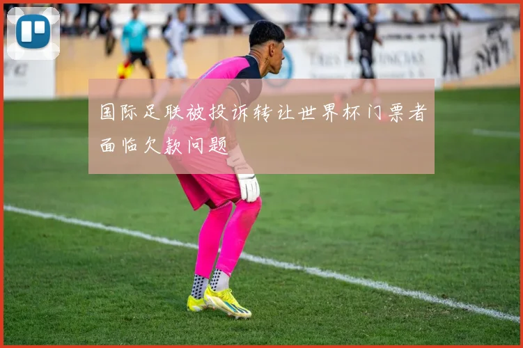 国际足联被投诉转让世界杯门票者面临欠款问题
