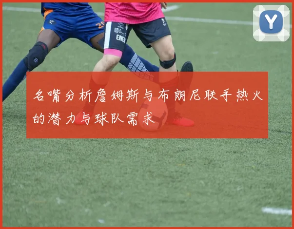名嘴分析詹姆斯与布朗尼联手热火的潜力与球队需求