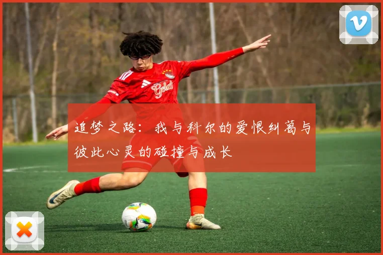 追梦之路：我与科尔的爱恨纠葛与彼此心灵的碰撞与成长