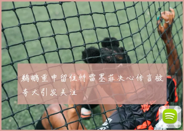 鹈鹕重申留住特雷墨菲决心传言被夸大引发关注